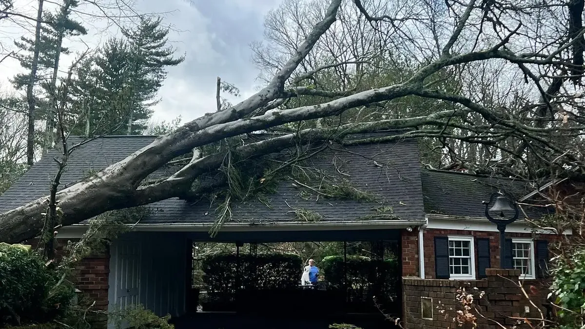 Storm-damaged tree fallen on a house